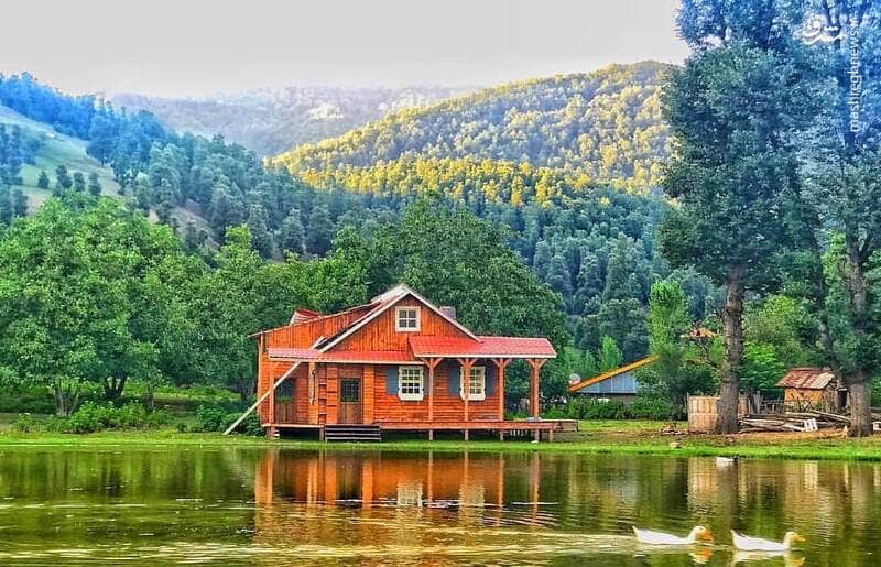 تور کمپی دربندرشی و جنگل سی دشت۱۵ اردیبهشت