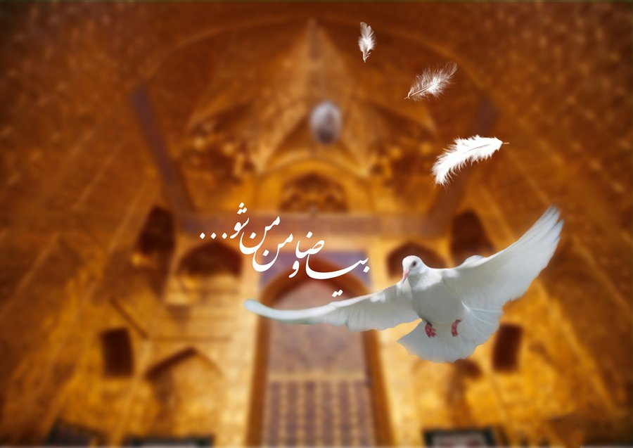 تور زمینی مشهد هتل آپارتمان حجاب مشهد