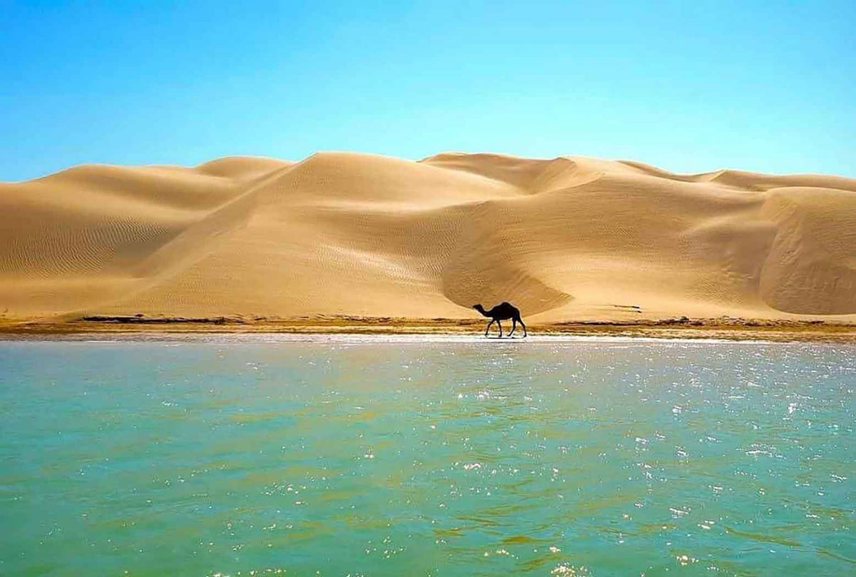 تور چابهار ۹ بهمن